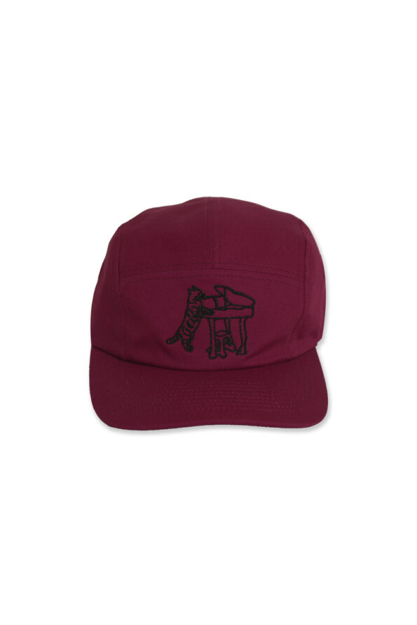 PianoCaraBCap01
