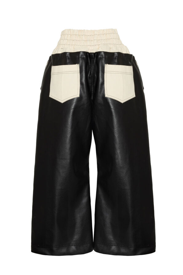 Pantashort02