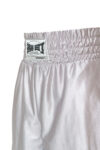 ShortPlata01